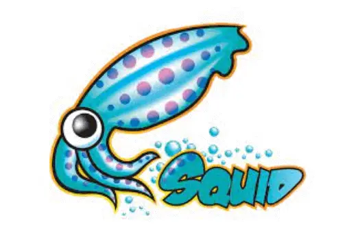 squid proxy