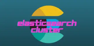 Setup Multi-node Elasticsearch Cluster