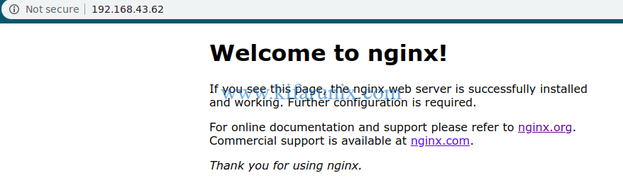 Install Nginx on Debian 10 Buster