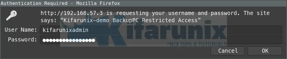 Install and Setup BackupPC Server on Ubuntu 20.04