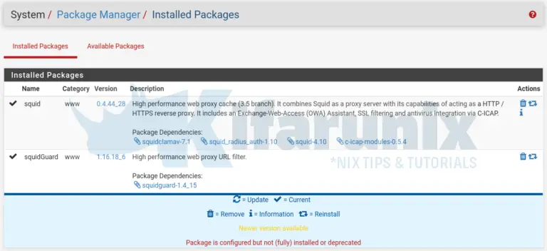 Install and Setup Squid Proxy on pfSense - kifarunix.com