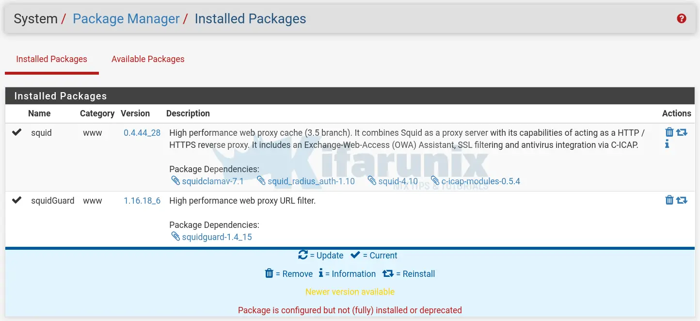 Install and Setup Squid Proxy on pfSense - kifarunix.com
