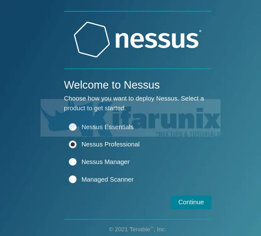 nessus network scanner