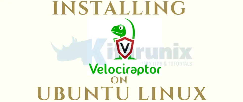 Install and Setup Velociraptor on Ubuntu 18.04