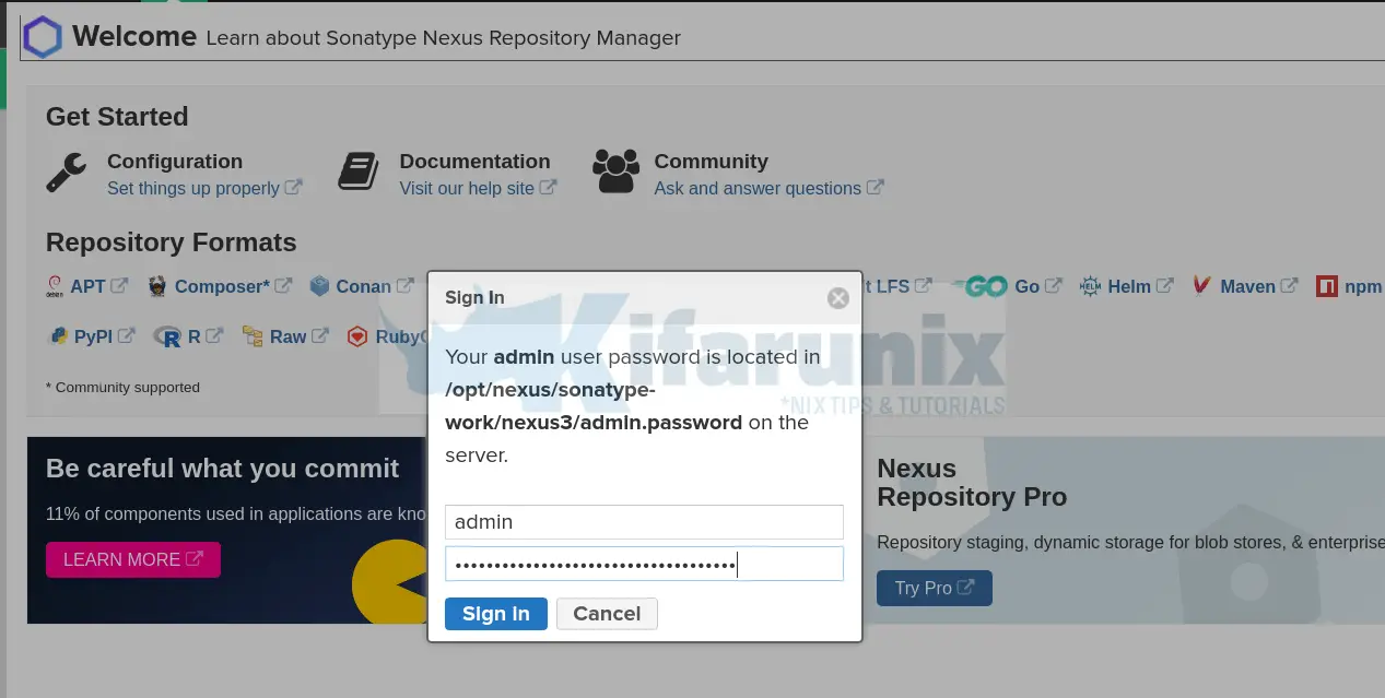 setup nexus repository