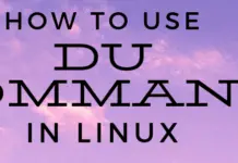 Check directory usage with du Command in Linux