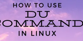 Check directory usage with du Command in Linux