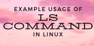 Example Usage of ls Command in Linux