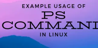 Example Usage of ps Command in Linux