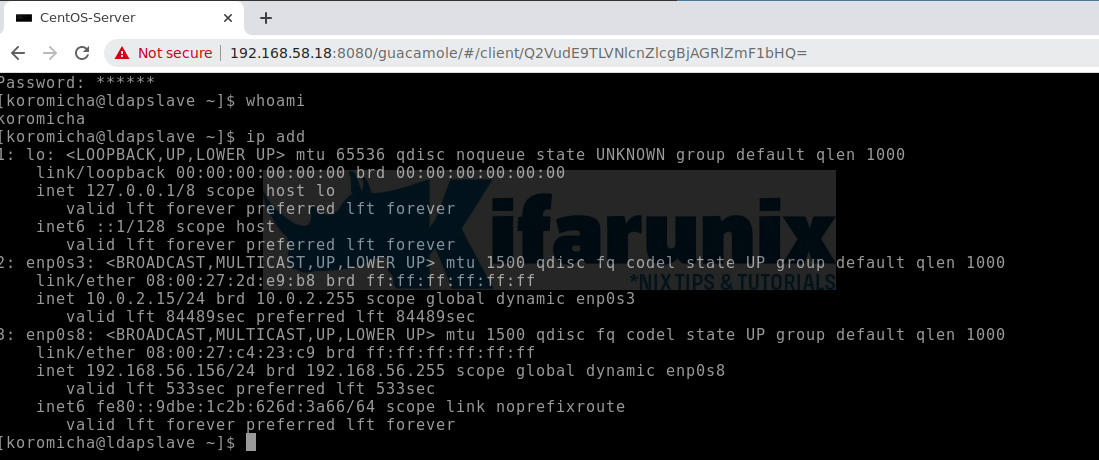 Install Apache Guacamole on Ubuntu 24.04