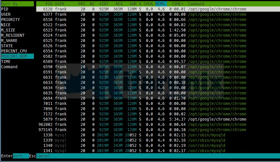 htop command