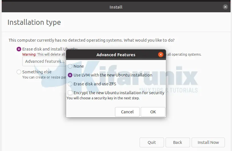 ubuntu 21.04 install type