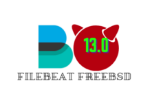 Install Filebeat on FreeBSD