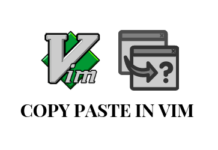 How to copy paste lines in vim