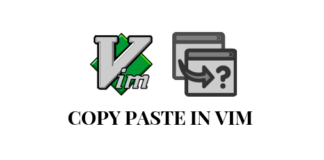 How to copy paste lines in vim