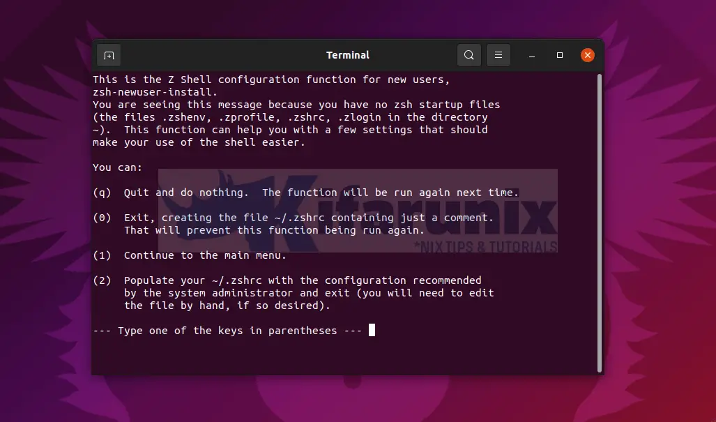 Install and Setup ZSH and Oh-My-Zsh on Ubuntu 20.04/Ubuntu 22.04