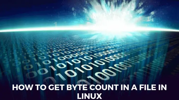 How to get byte count in a file in Linux