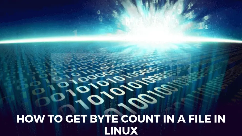 How to get byte count in a file in Linux