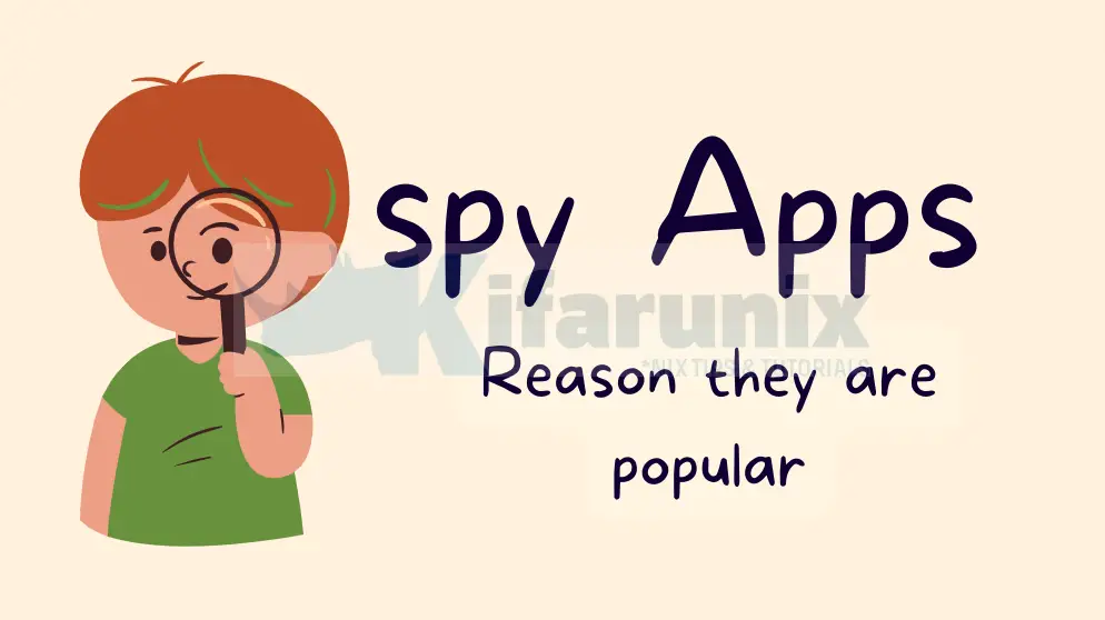 The reasons why spy apps are so popular