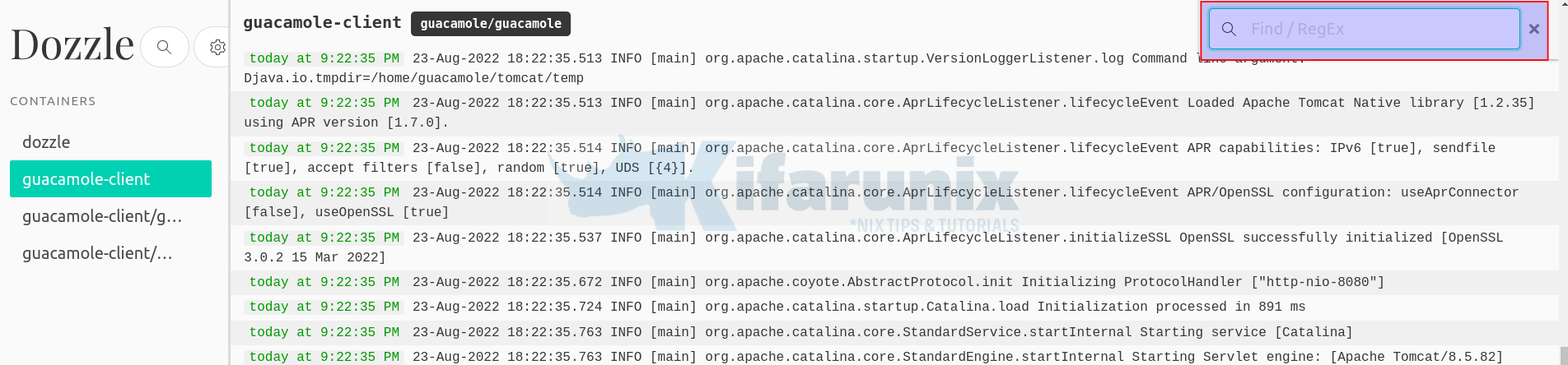 Install Dozzle Real-Time Log Viewer for Docker Containers on Ubuntu 3 search logs dozzle