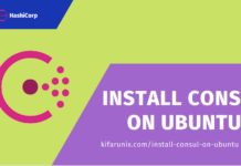 install Consul server on Ubuntu 22.04/Ubuntu 20.04
