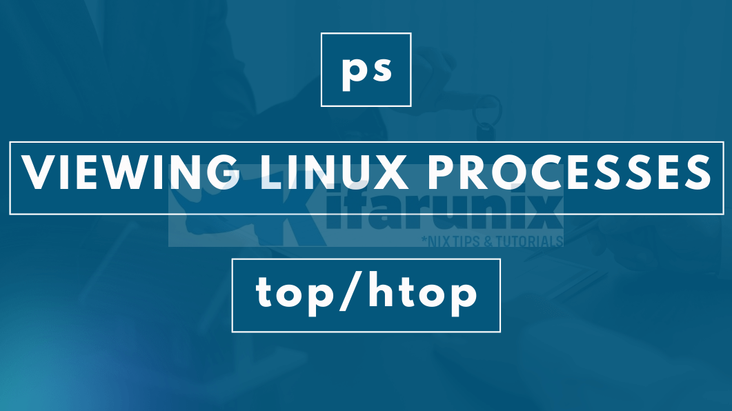 Viewing System Processes using ps and top commands