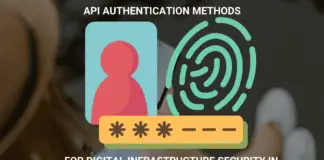 Exploring API Authentication Methods for Digital Infrastructure Security in Business
