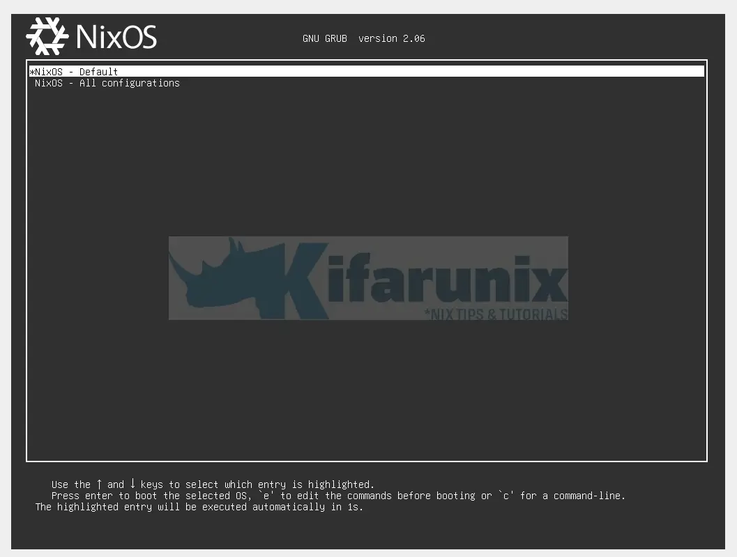 start nixos on