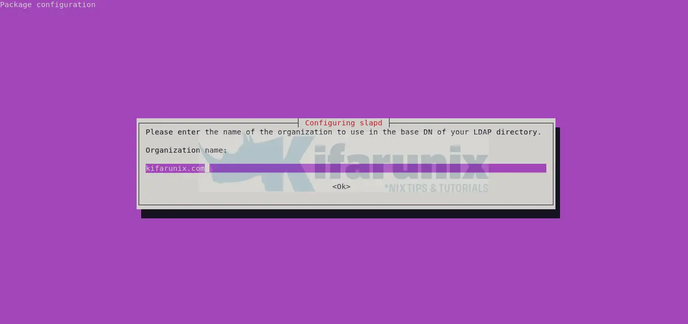 Install OpenLDAP Server on Ubuntu 24.04 3 organization name