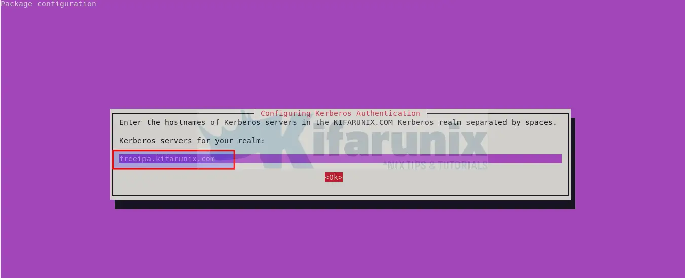 Install and Configure FreeIPA Client on Ubuntu 24.04 3 ipa server fqdn