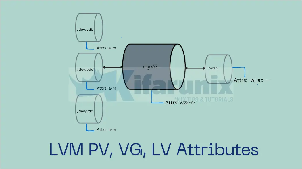 Exploring LVM: Learn About Common PV, LV, and VG Attributes - kifarunix.com