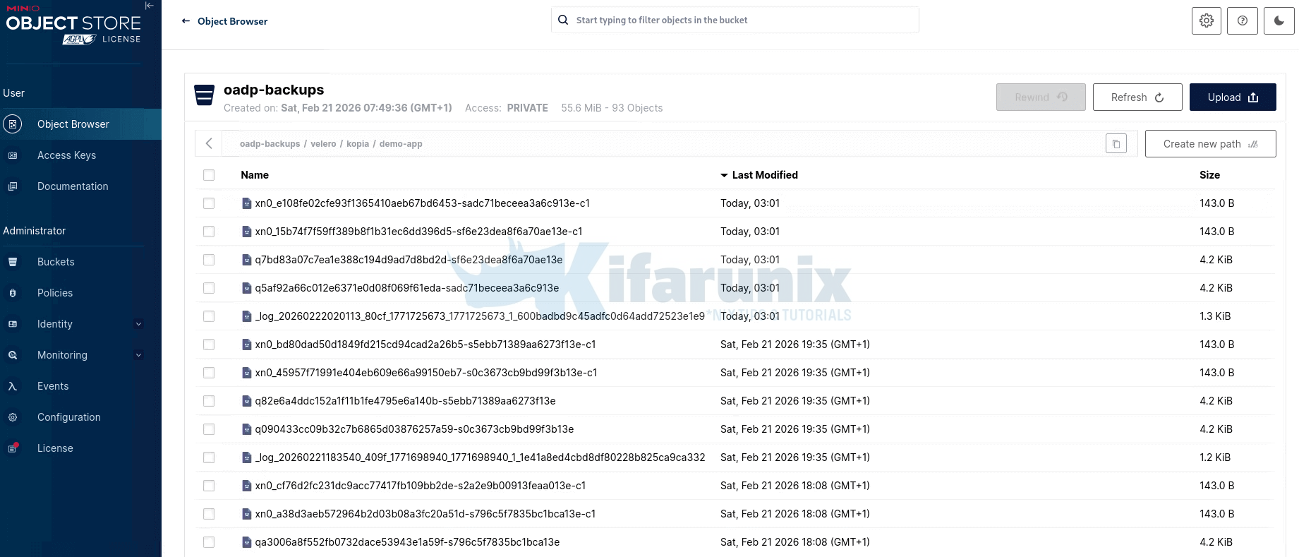 incremental backup files kopia