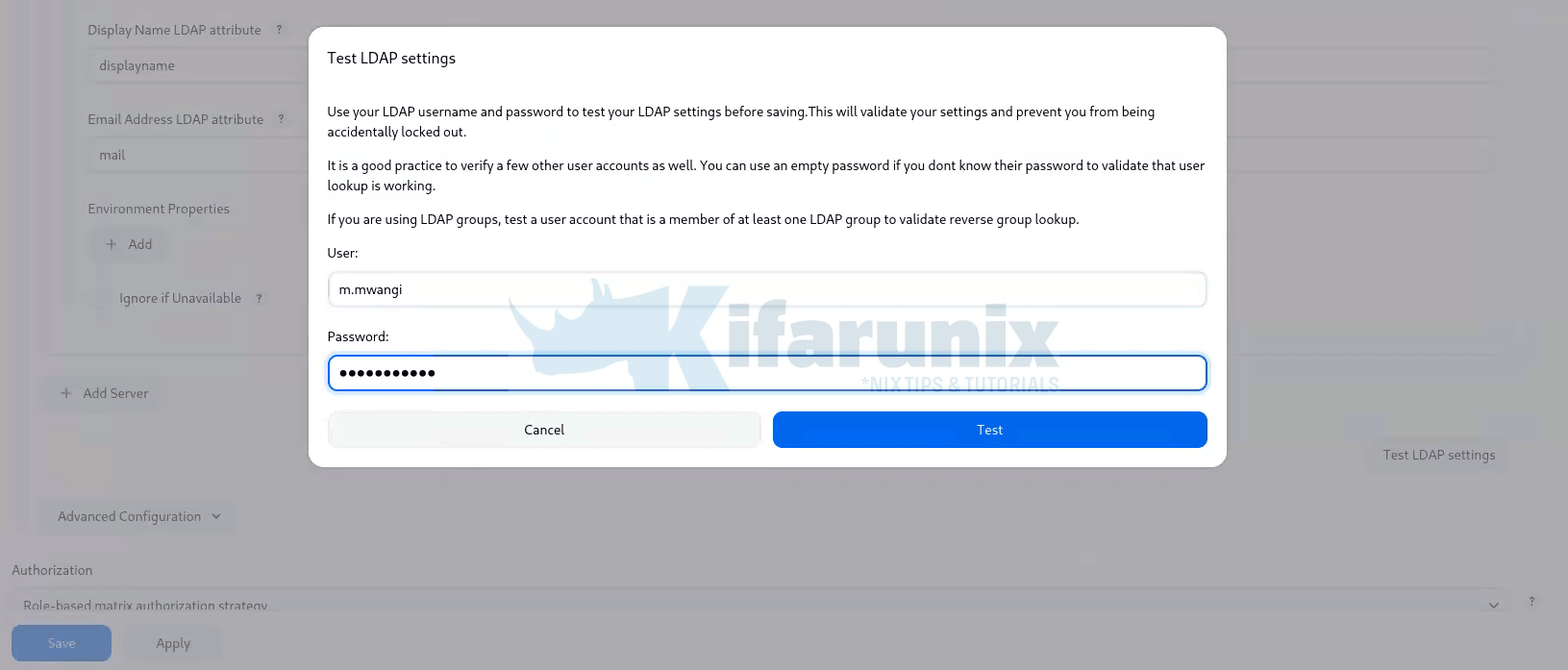 cloudbees ci ldap server testing